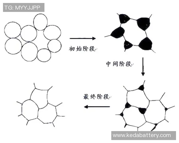 成都羽毛球队进攻革新之路：技术提升与战术创新的深度解析